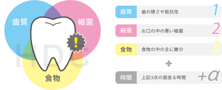 歯質・細菌・食物 プラス時間