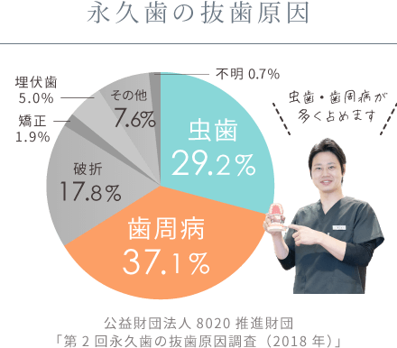 永久歯の抜歯原因は、虫歯・歯周病が多くを占めます